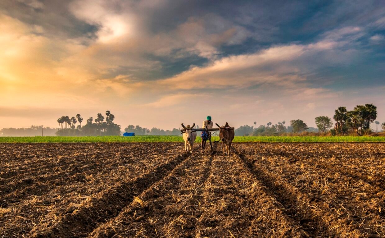 Sustainable farming in India