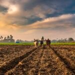 Sustainable farming in India