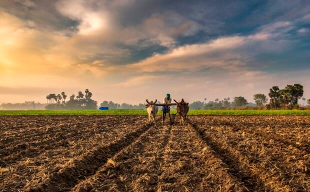 Sustainable farming in India